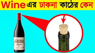 Wine Bottle -এ Wooden Cap থাকে কেন ? || Bangla Fact Video ||Amazing Facts || Unknown Facts Bangla.