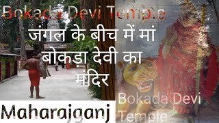 Bokada Mata Mandir Pakadi jungle Maharajganj || जंगल के बीच में मां बोकड़ा देवी का मंदिर