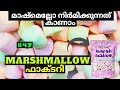 മാഷ്മെല്ലോ ഫാക്ടറിയിൽ നിർമിക്കുന്നത് കാണാം | marshmallow factory | factory digest malayalam