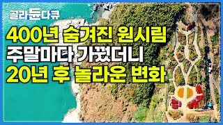 섬 주민들이 미워하던 외부인 부부가 20년간 주말마다 섬 원시림 가꿨더니..│나무가 우거진 섬은 정원이 되고, 부부는 섬의 일부가 됐다!│한국기행│#골라듄다큐