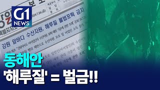 [G1뉴스]'해루질' 금지 조례 최초 시행