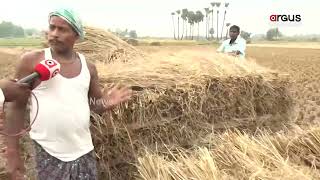 Puri: Cyclone Michaung's Fear Grips Farmers