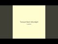 Tranquil Storm Moonlight