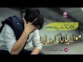 Heart Touching Kalam |Taqdeer Nahi Yawar | Abdul Qaiyum Jamal | Peace Studio | Nasheed Club