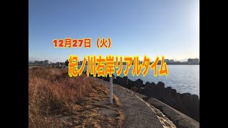 12/27紀ノ川河口右岸午前のリアルタイム情報　フィッシングマックス和歌山インター店