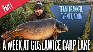 Carp Fishing In Poland - A Week at Goslawice Carp Lake - Part 1 (EU Subtitles Available)