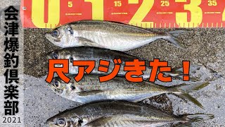 #34 2021年本格始動！新潟でサビキ釣りをやってきました！