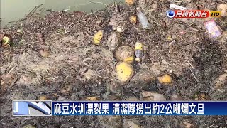 惡意丟棄? 大雨沖刷? 麻豆水圳漂2公噸爛文旦－民視新聞