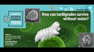 E94: How can tardigrades survive without water? [SJK Audio Edition]