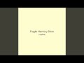 Fragile Harmony Silver
