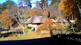 みちのく民俗村ライブ 2023.11.21 10:50