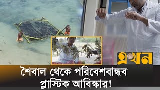 ক্ষতিকর প্লাস্টিক ব্যবহারে বিপর্যয়ের মুখে পৃথিবী! | Seaweed Plastic | Ekhon TV