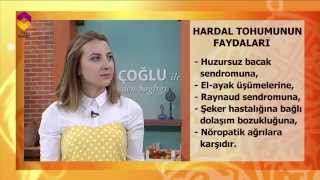 TIBBİ BİTKİLER -HARDAL TOHUMU