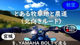 とある牧草地と農道（北向きルート）【バイクの音と環境音 / Motorcycle sound \u0026 ambient noise】