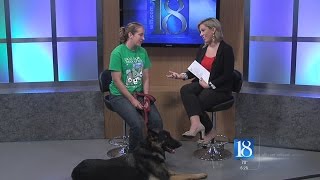News 18 This Morning previews Pooch Plunge!