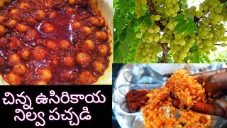 చిన్న ఉసిరికాయ ఆవకాయ || Amla Pickle ||3నెలలు నిల్వఉండే ఎంతో ఆరోగ్యకరమైన ఉసిరికాయ పచ్చడి