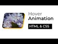 CSS Hover Animation Effects | HTML & CSS | csPoint Web Designing Tutorials