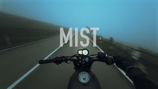 POV | What's in the Fog? (no talking)