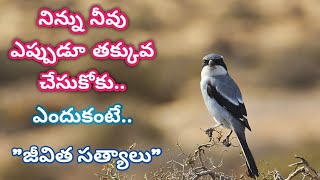 జీవిత సత్యాలు#31|| motivational quotes||మంచి మాటలు|| insipirational words||సూక్తులు|| motivation||