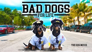 BAD DOGS FOR LIFE - The Wiener Dog Bad Boys Movie