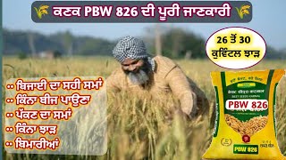 Full details of PBW 826 Wheat Seed || ਕਣਕ PBW 826 ਦੀ ਪੂਰੀ ਜਾਣਕਾਰੀ ||