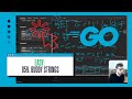 GOing Deeper: Unravel 'Buddy Strings' in Go | Your Coding Interview Companion - 859 LeetCode