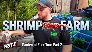 A Day in the Life of a Pet Shrimp Farmer : How to Ship Shrimp & Plants