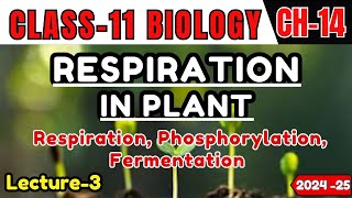 RESPIRARTION IN PLANT I L-1 I RESPIRATION, PHOSPHORYLATION I CLASS-11 I NEET/CBSE/State Board