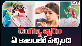 డెంగ్యూ జ్వరం ఏ కాలంలో వచ్చింది | Dengue Fever Effect In This Season | CVR HEALTH