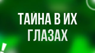 podcast | Тайна в их глазах (2015) - #рекомендую смотреть, онлайн обзор фильма