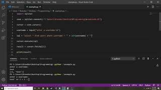 How to Use Parameters in a SQLite SQL Statement in Python SQLite3 Tutorial in Python