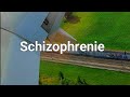 Schizophrenie,PsychologyTopics, Psychologie,schizophrenia,Wahnvorstellungen,Halluzinationen,Psychose