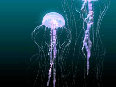 Jellyfish 3d Animation Youtube