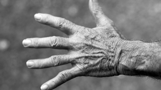 Scientists make possible anti-aging breakthrough