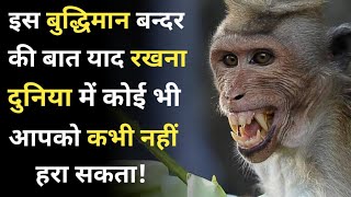 एक बुद्धिमान बन्दर की कहानी A story of a intelligent monkey