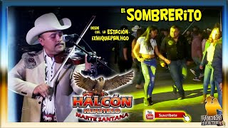 Halcon huasteco - El Sombrerito y El Desterrado