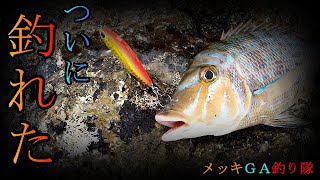 初！！ルアーでタマンを釣りました！！【沖縄ルアーフィッシング】