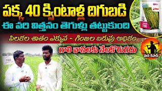 ఈ వరి ఎకరాకు 40క్వింటాలు పక్క వస్తుంది ||Best Paddy Seeds || Ankur seeds Paddy 788 || Mana Kisan Tv