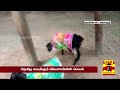 ஆஹா என்ன மனுஷன்யா.. ஆட்டுக்கு ரெயின் கோட் போட்ட விவசாயி farmer goat raincoat