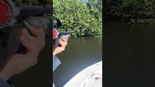 🦎 Iguana Hunting in Florida with a PCP fully automatic air rifle (Iguana Lost) *officially smoked!