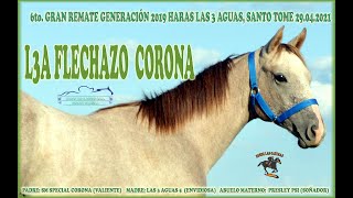 LOTE  11 L3A  FLECHAZO CORONA - 6to Remate Potrillos Haras LAS 3 AGUAS.. Del 29.04 al 01.05.2021