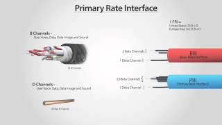 What Is PRI? - Primary Rate Interface (ISDN PRI)