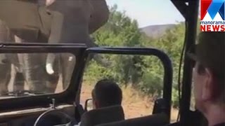 Arnold Schwarzenegger gets chased by elephant on safari| Manorama News