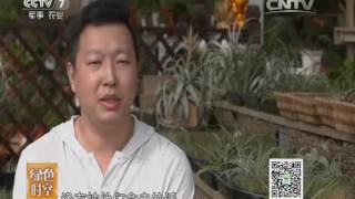 20160529 绿色时空  小植物与四个男人的情缘