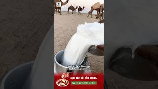 #641|🟣Kẹo táo đỏ kẹp sữa lạc đà nhân hạt điều Tân cương #review #milk #camel #food #candy