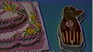 Carvel Ice Cream Cake Birthday Commercial - 1982