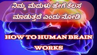 ನಮ್ಮ ಮೆದುಳು ಹೇಗೆ ಕೆಲಸ ಮಾಡುತ್ತದೆ How the Human BRAIN Works in kanna,Brain Power