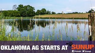 Summer Pond Management Tips (6/26/21)