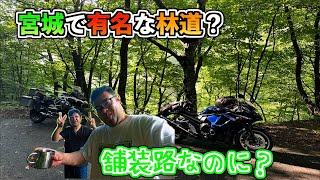 宮城にこんな道が？林道という名の舗装路！