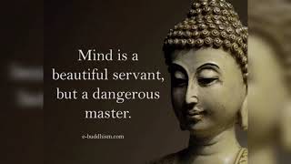 Buddha Quotes That Will Change Your Mind | Buddha Quotes On Life | Wonder Zone 2021